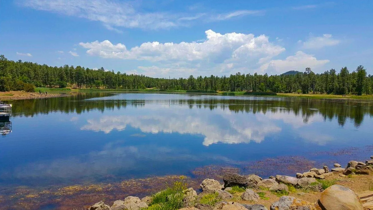 Lake of the Woods